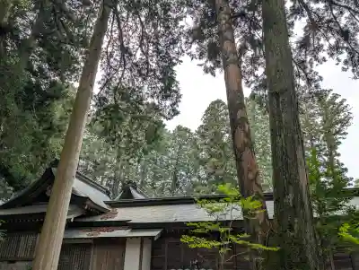 飛驒一宮水無神社(岐阜県)