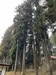 大宮温泉神社(栃木県)(2023年03月26日(日) 10時04分51秒投稿)