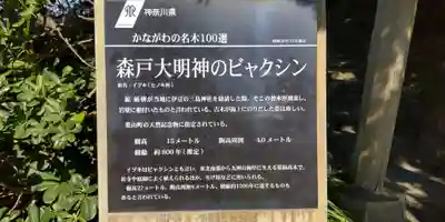 森戸大明神（森戸神社）(神奈川県)