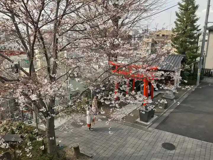 赤城神社(東京都)