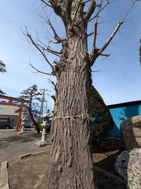 稲荷神社(鍛冶稲荷神社)(北海道)