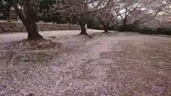 貴船神社の自然