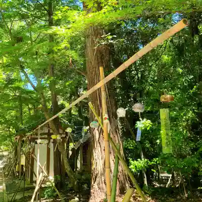 目の霊山　油山寺(静岡県)