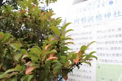 阿邪訶根神社のその他建物