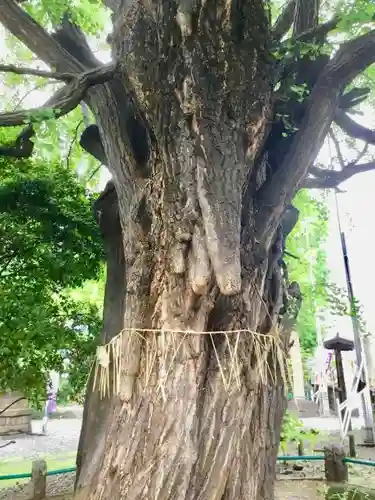 磐井神社のその他建物