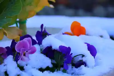 熊野福藏神社(福島県)