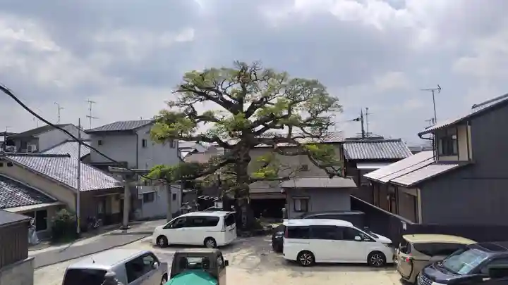 櫟谷七野神社(京都府)