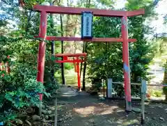 開運招福 飯玉神社(群馬県)