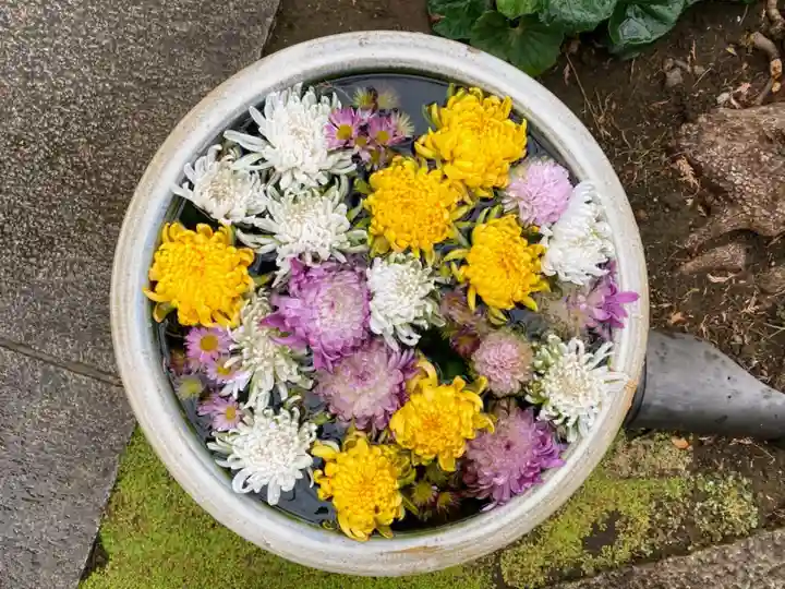 常在寺(東京都)