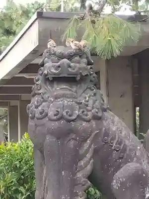 福井神社(福井県)