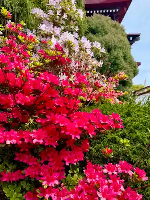 伊達神社(北海道)
