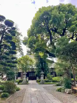 高安寺(東京都)