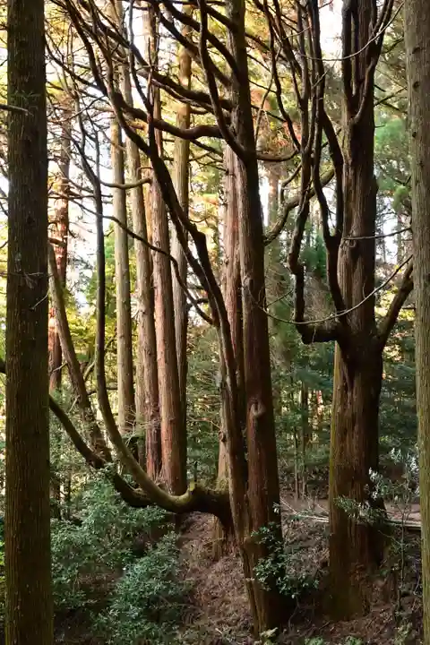 槵觸神社(宮崎県)