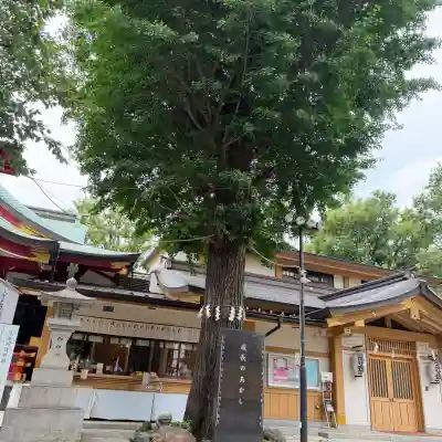 居木神社(東京都)