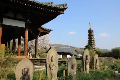 般若寺 ❁﻿コスモス寺❁(奈良県)