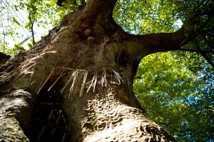 金峯神社(新潟県)