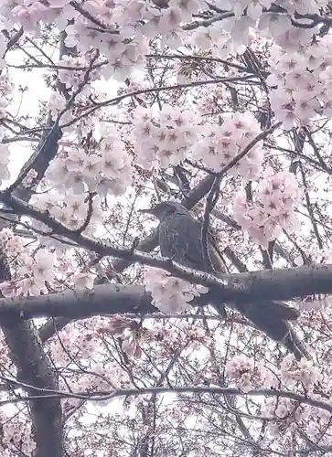 法輪寺の景色