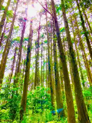 天白稲荷大明神(茨城県)