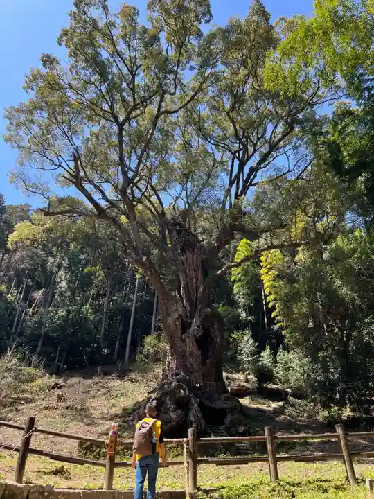 武雄神社(佐賀県)