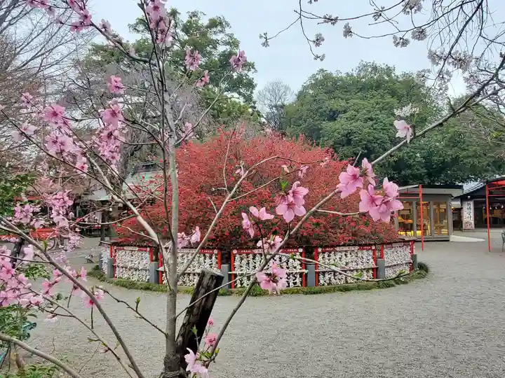 冠稲荷神社の自然