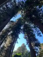 大宮温泉神社(栃木県)