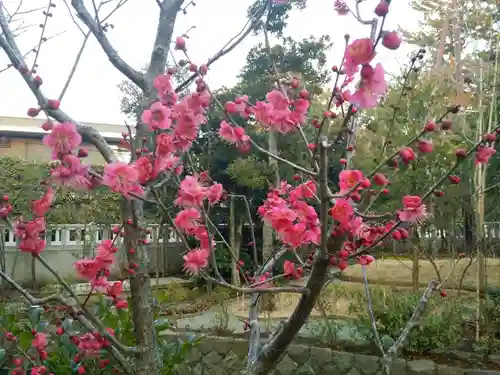 宮山神社の自然