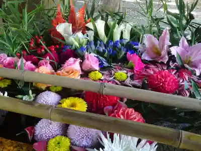 世田谷八幡宮の手水舎
