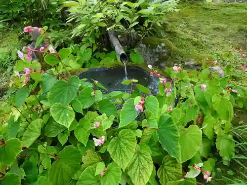 関興寺の庭園