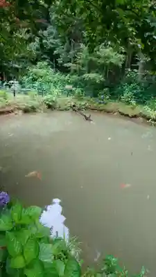 観音寺のその他建物