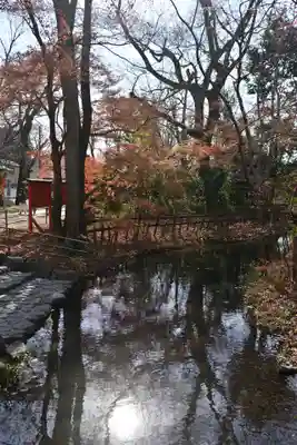 賀茂御祖神社（下鴨神社）(京都府)