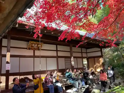 榮攝院（栄摂院）(京都府)