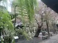 頂法寺(六角堂)の{uncategorized: "未分類", other: "その他", undefined: "問題あり", building: "その他建物", grave: "お墓", sacred_gate: "鳥居", guardian: "狛犬", statue: "像", buddha: "仏像", history: "歴史", nature: "自然", garden: "庭園", animal: "動物", pagoda: "塔", temizu: "手水舎", mountain_gate: "山門・神門", sanctuary: "本殿・本堂", subordinate: "末社・摂社", art: "芸術", scenery: "景色", jizo: "地蔵", ema: "絵馬", goshuin: "御朱印", omikuji: "おみくじ", items: "授与品その他", amulet: "お守り", goshuincho: "御朱印帳", eats: "食事", festival: "お祭り", votive_dance: "神楽", shichigosan: "七五三参", wedding: "結婚式", experience: "体験その他", initially: "初詣", around: "周辺", anti_infection: "感染症対策"}