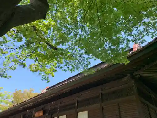 出羽国分寺薬師堂の本殿・本堂