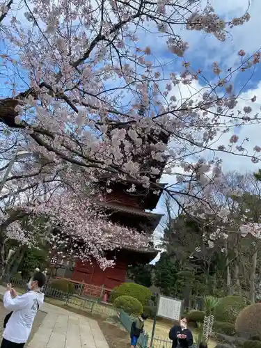 法華経寺(千葉県)