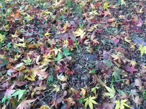 吉野水分神社（吉野町）の自然