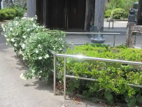 海善寺(静岡県)