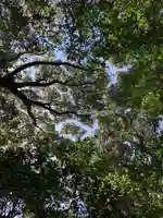 浅間神社の自然