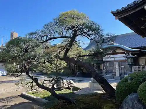 天台宗西光寺の自然