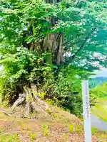 向川寺(山形県)