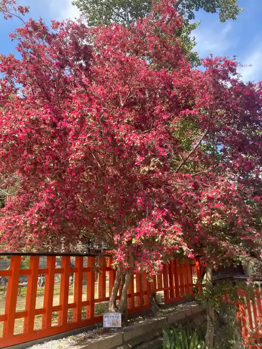 玉津島神社(和歌山県)