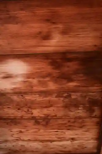 正伝護国禅寺(正伝寺･正傳寺)(京都府)