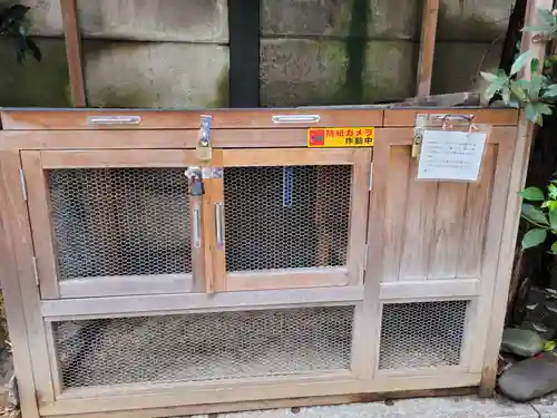 櫻木神社のその他建物