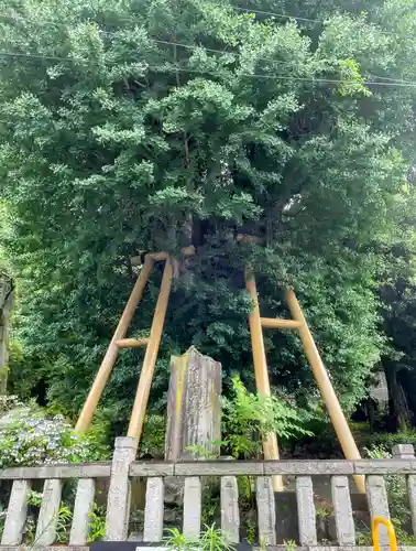 五所神社(神奈川県)