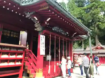 箱根神社の本殿・本堂