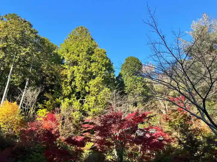 善水寺(滋賀県)