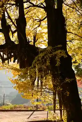 八畝観音堂(高知県)