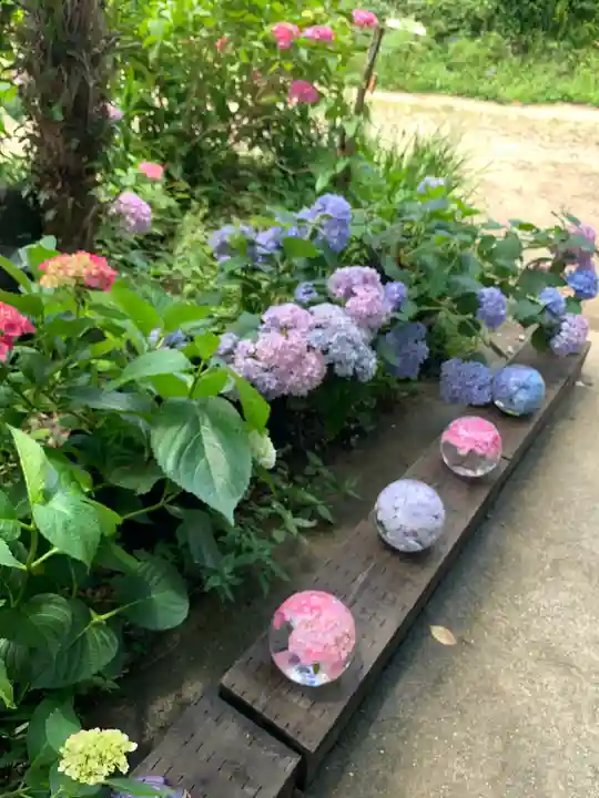 般若寺 ❁コスモス寺❁(奈良県)
