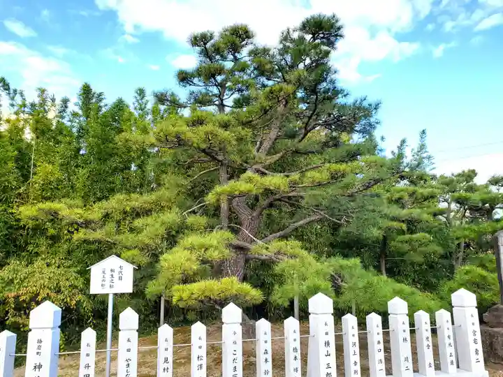 尾上神社の自然