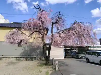 福島稲荷神社の{uncategorized: "未分類", other: "その他", undefined: "問題あり", building: "その他建物", grave: "お墓", sacred_gate: "鳥居", guardian: "狛犬", statue: "像", buddha: "仏像", history: "歴史", nature: "自然", garden: "庭園", animal: "動物", pagoda: "塔", temizu: "手水舎", mountain_gate: "山門・神門", sanctuary: "本殿・本堂", subordinate: "末社・摂社", art: "芸術", scenery: "景色", jizo: "地蔵", ema: "絵馬", goshuin: "御朱印", omikuji: "おみくじ", items: "授与品その他", amulet: "お守り", goshuincho: "御朱印帳", eats: "食事", festival: "お祭り", votive_dance: "神楽", shichigosan: "七五三参", wedding: "結婚式", experience: "体験その他", initially: "初詣", around: "周辺", anti_infection: "感染症対策"}