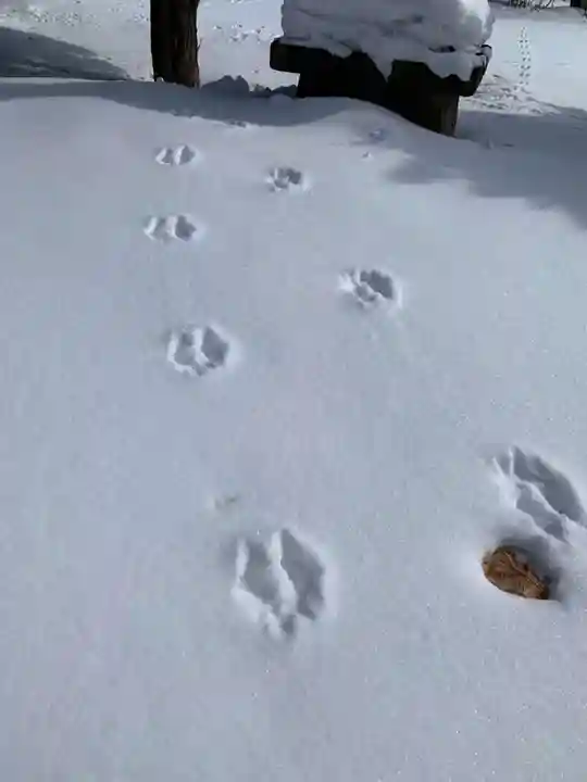 女満別神社(北海道)